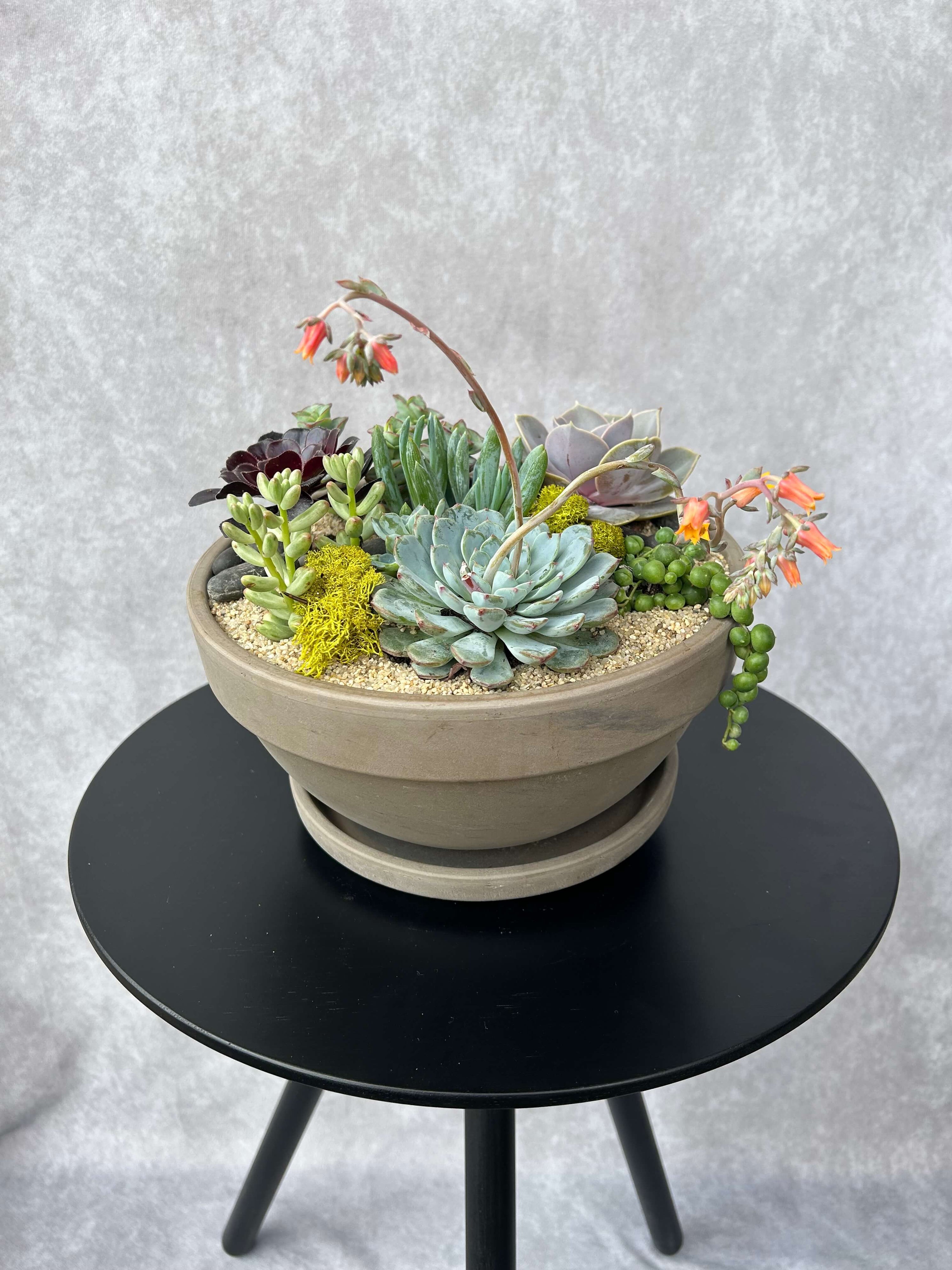 metal succulent planter Succulent Gardens – Petals to the Metal Floral