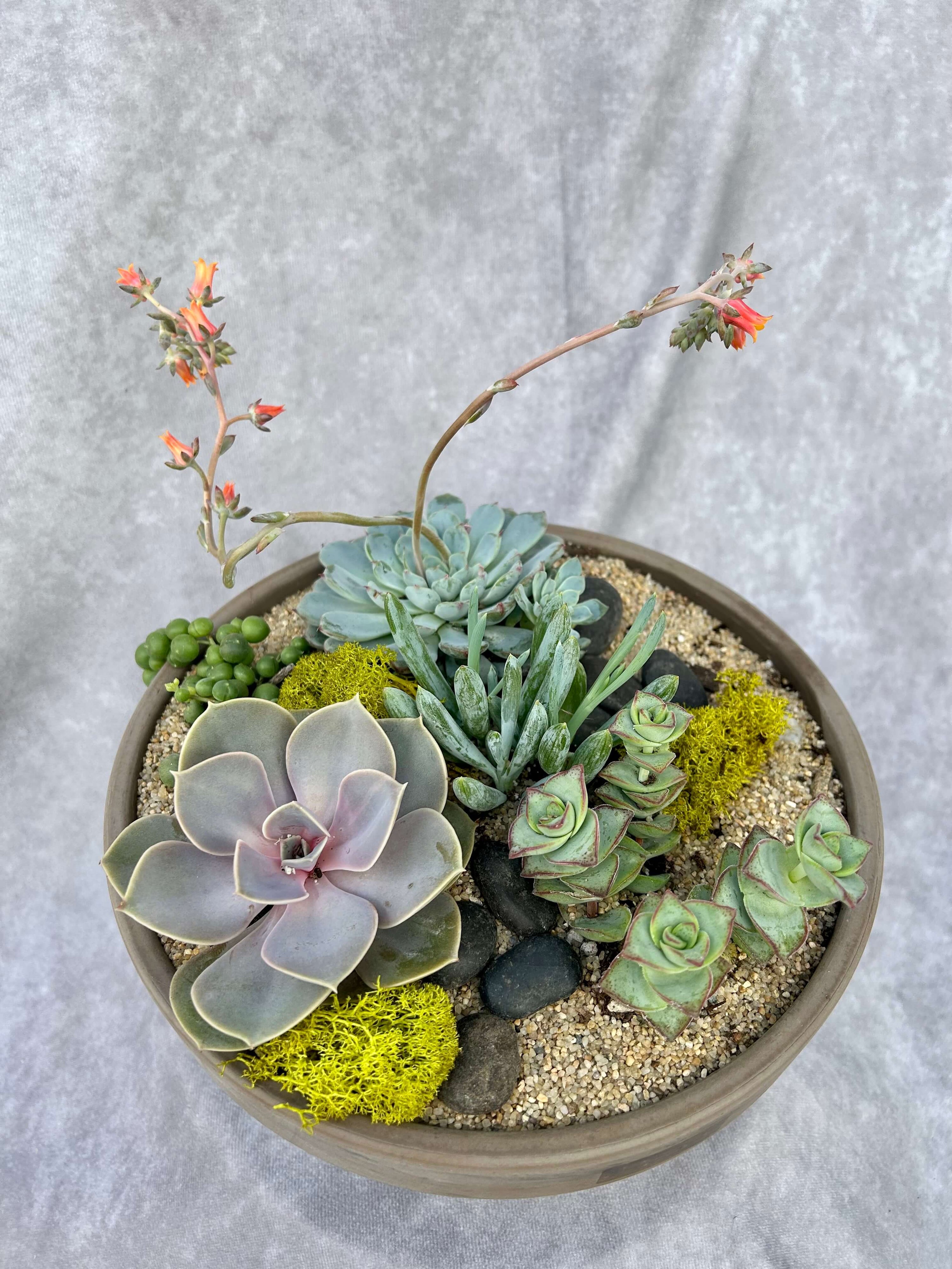 outdoor metal succulents Succulent Gardens