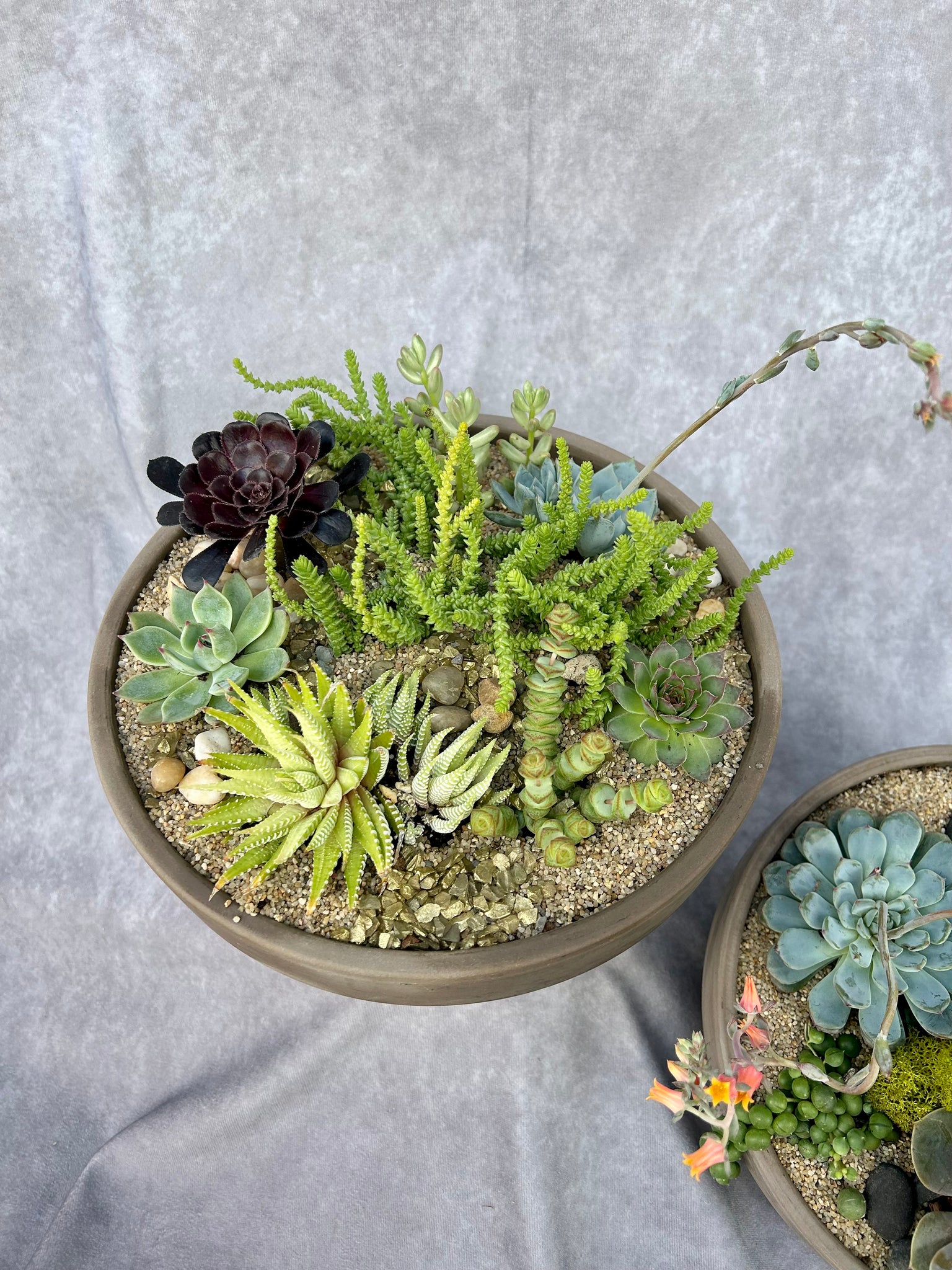 succulents dish garden Succulent Gardens – Petals to the Metal Floral